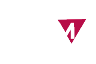 Zoom HD