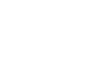 УНІАН Серіал