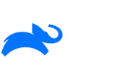 Animal Planet