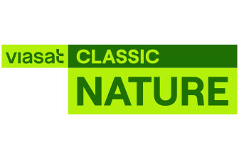 КС ТБ | Nature