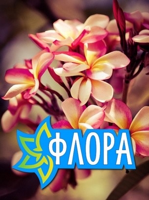 Флора HD