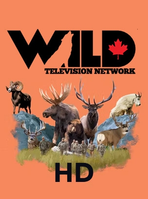 WILD TV HD