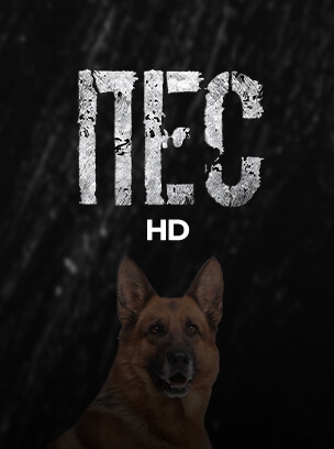 Пес HD