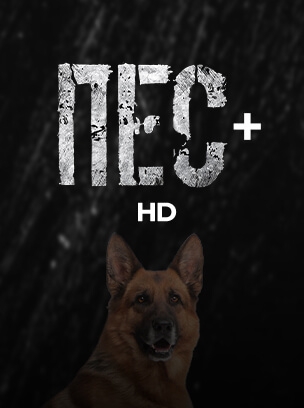 Пес+ HD